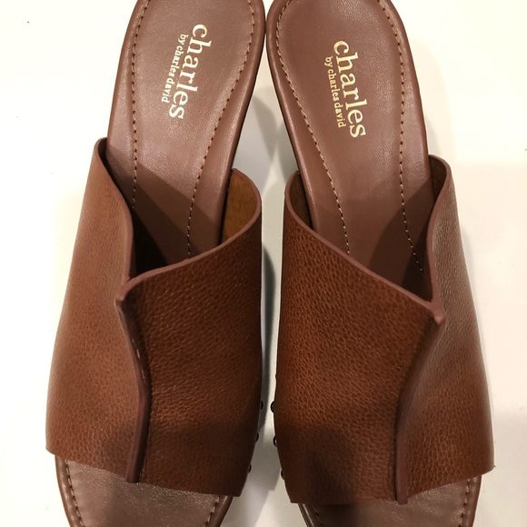 Charles and Davis slides - Picture 3 of 6